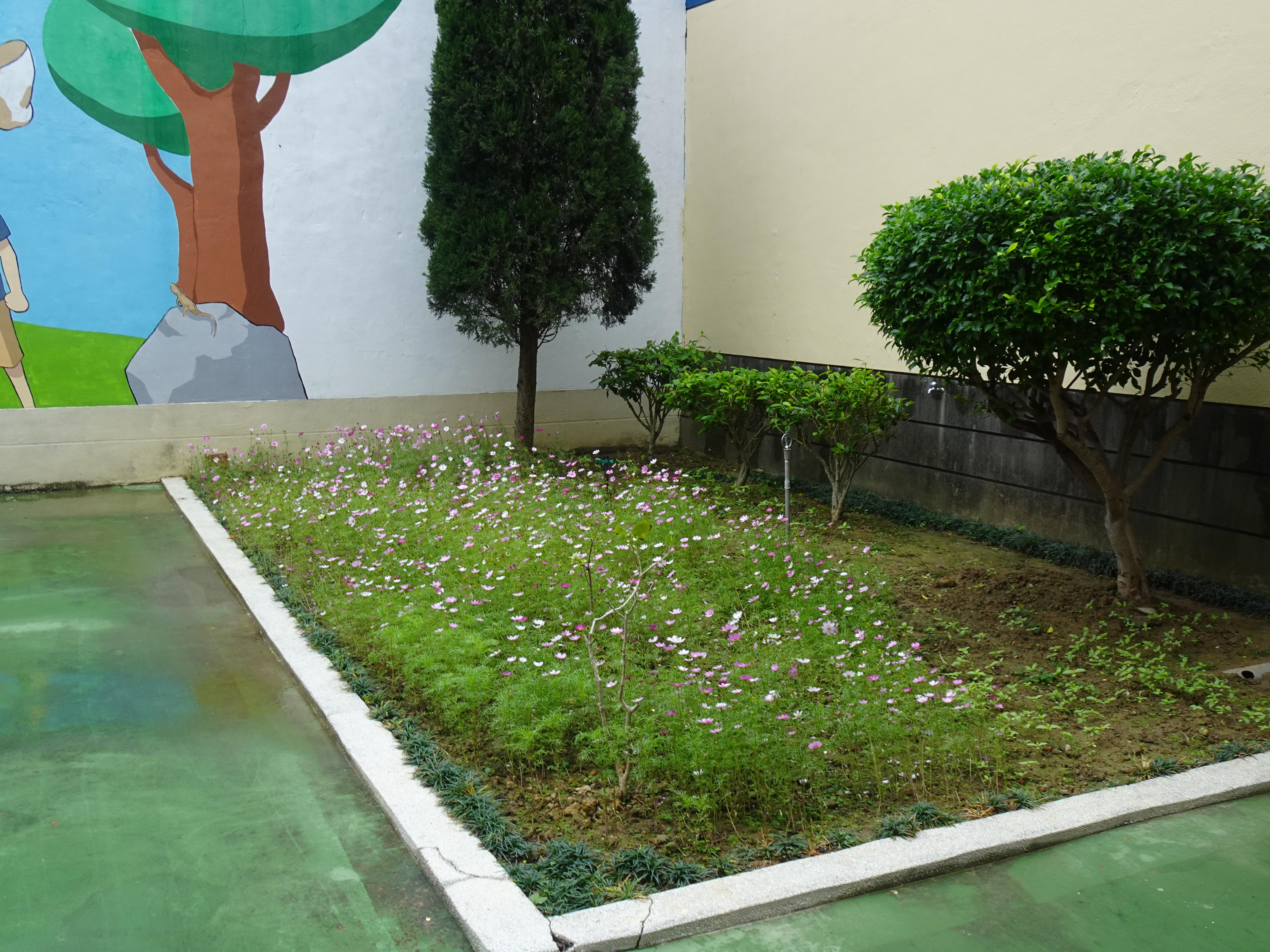 DSC05465