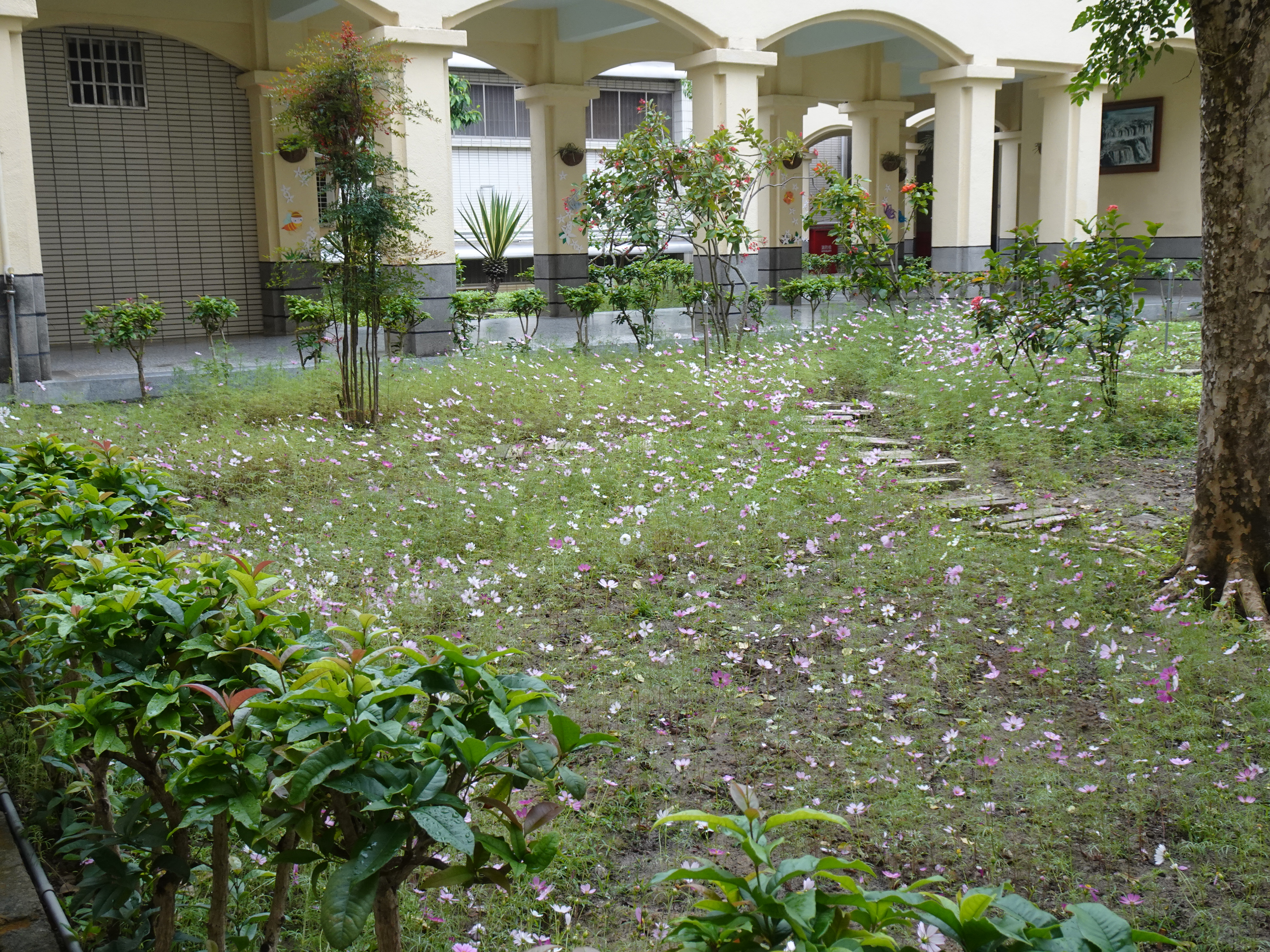 DSC06219