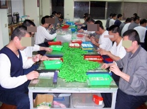 Vocational Training-2